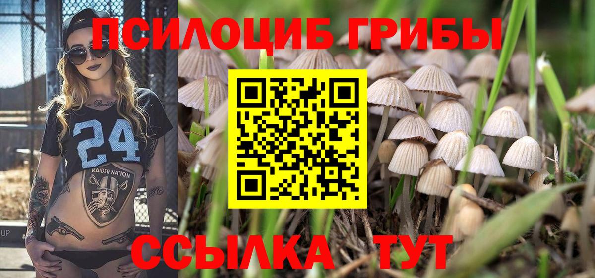 Калач-на-Дону  Галлюциногенные грибы Psilocybine cubensis  Вход с VPN 
