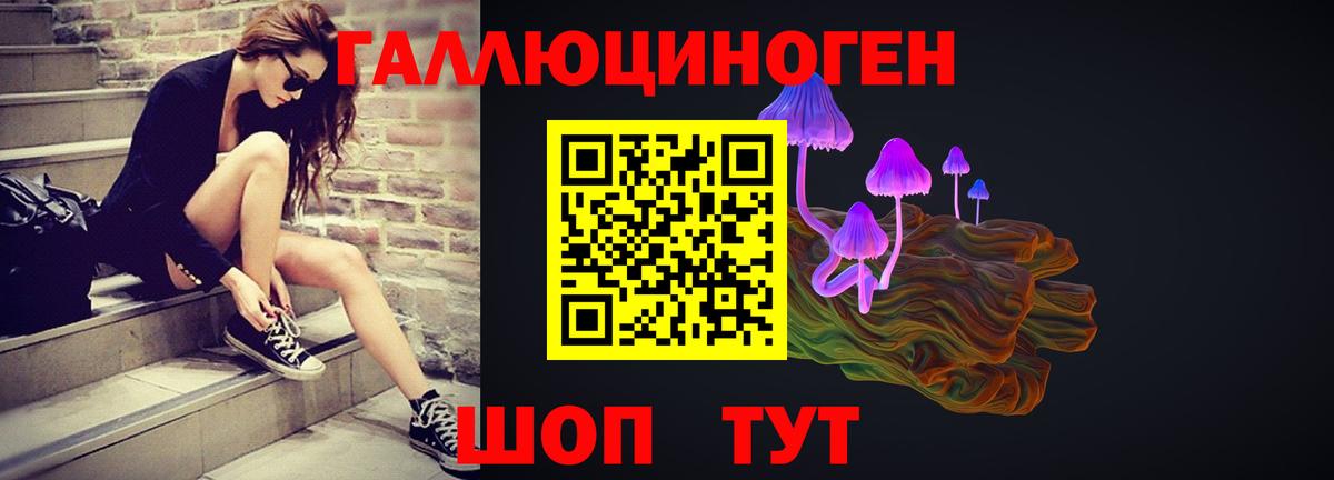 Псилоцибиновые грибы Psilocybe Калач-на-Дону